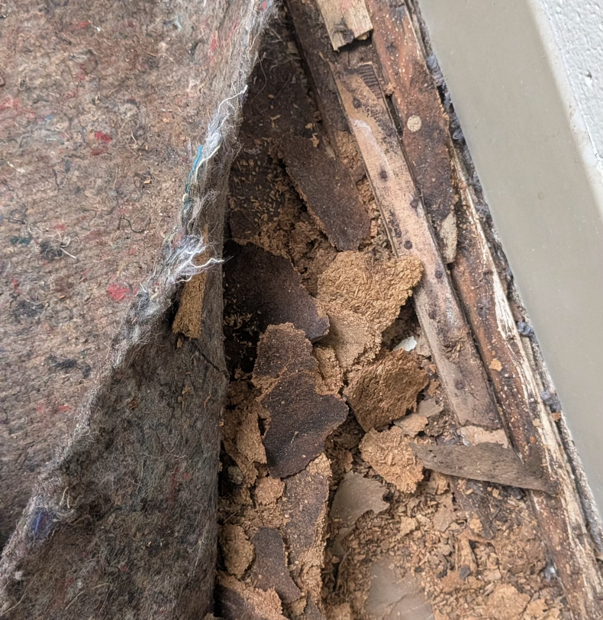 (Our deteriorated subfloor)