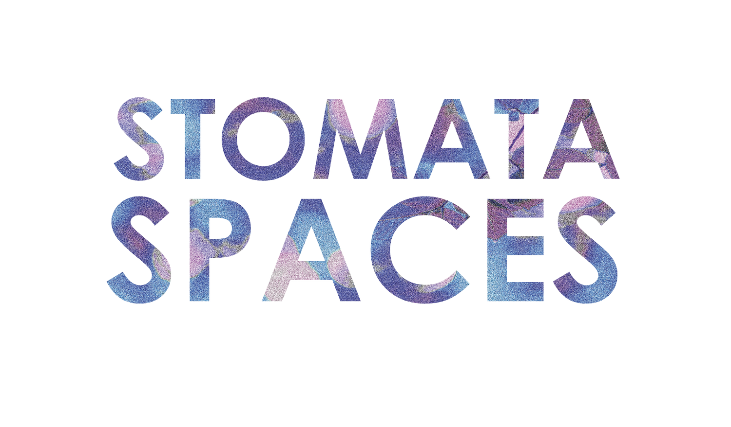 Stomata Spaces