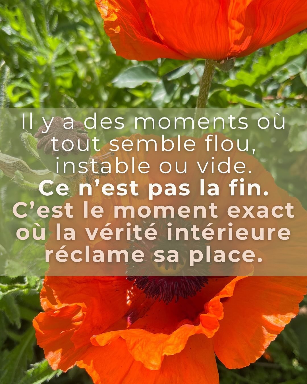 Il y a des moments o&ugrave; tout devient flou.
O&ugrave; tu ne rentres plus dans l&rsquo;ancienne version de toi&hellip; mais o&ugrave; la nouvelle n&rsquo;est pas encore claire.

Tu sens que quelque chose pousse &agrave; l&rsquo;int&eacute;rieur.
C