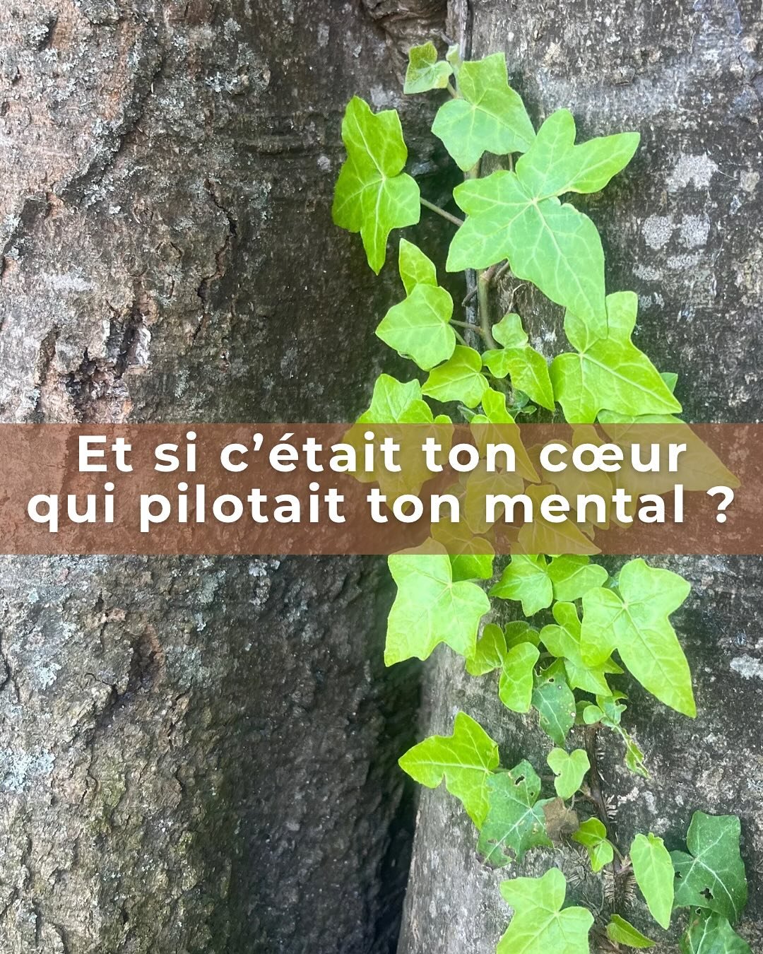 On croit souvent que le c&oelig;ur est juste un symbole&hellip;
Mais c&rsquo;est aussi un centre d&rsquo;intelligence autonome, qui influence directement le cerveau et le syst&egrave;me nerveux.

💡 Ce n&rsquo;est pas &eacute;sot&eacute;rique : c&rsq