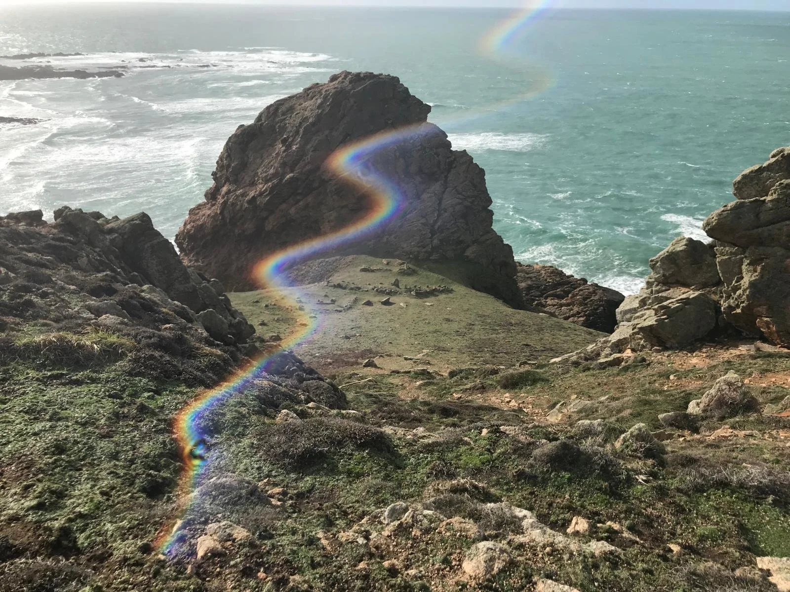 She Rose: Dance, Landscape and Language