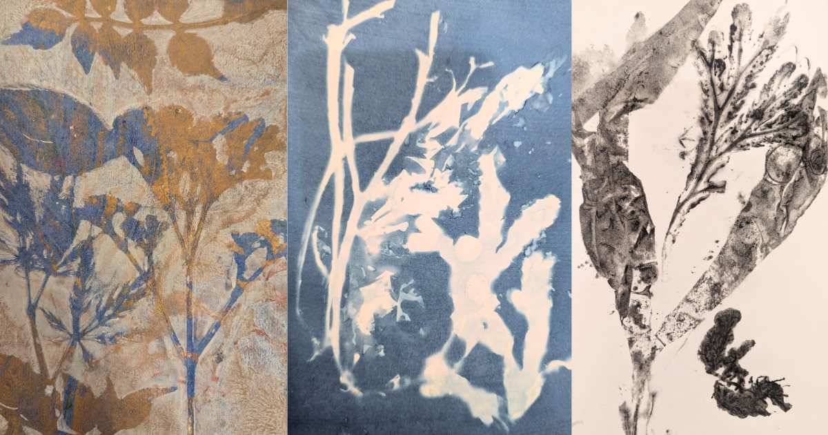 Vraiqu'sie: Seaweed &amp; Nature Cyanotype and Printmaking Workshop