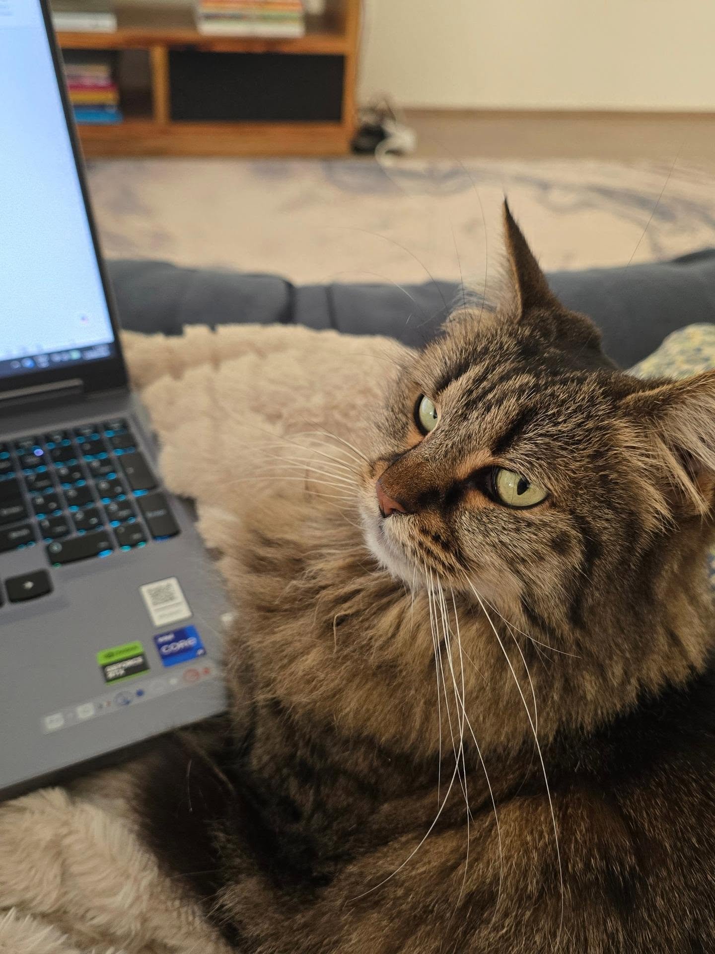 My writing companion is unimpressed with the number of m-dashes I've just put in. Also my reliance on the word 'just' 😒

What's your writing style red flags?