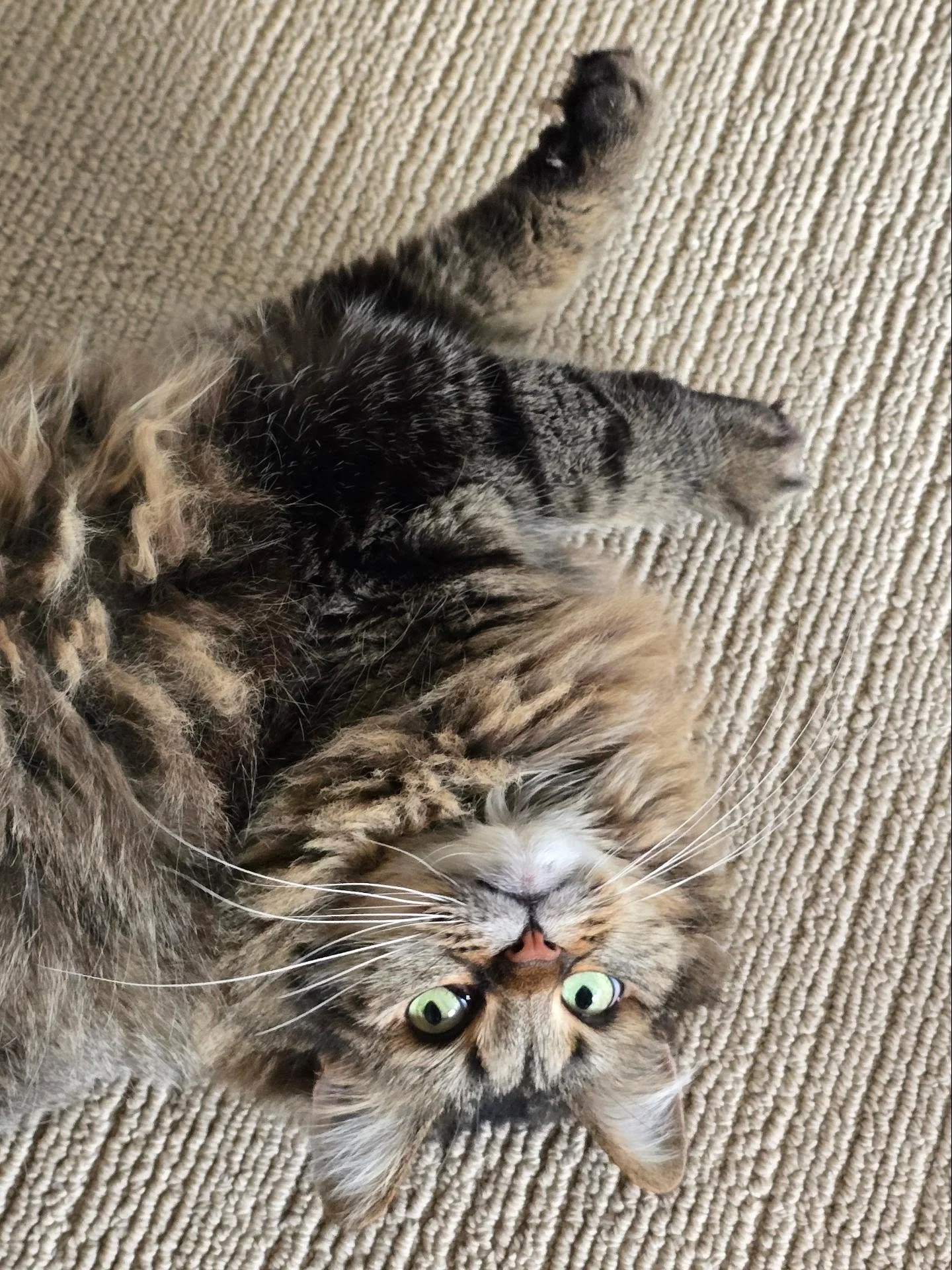 Sometimes you have to look at your plot from a different angle to figure out the fix 😸