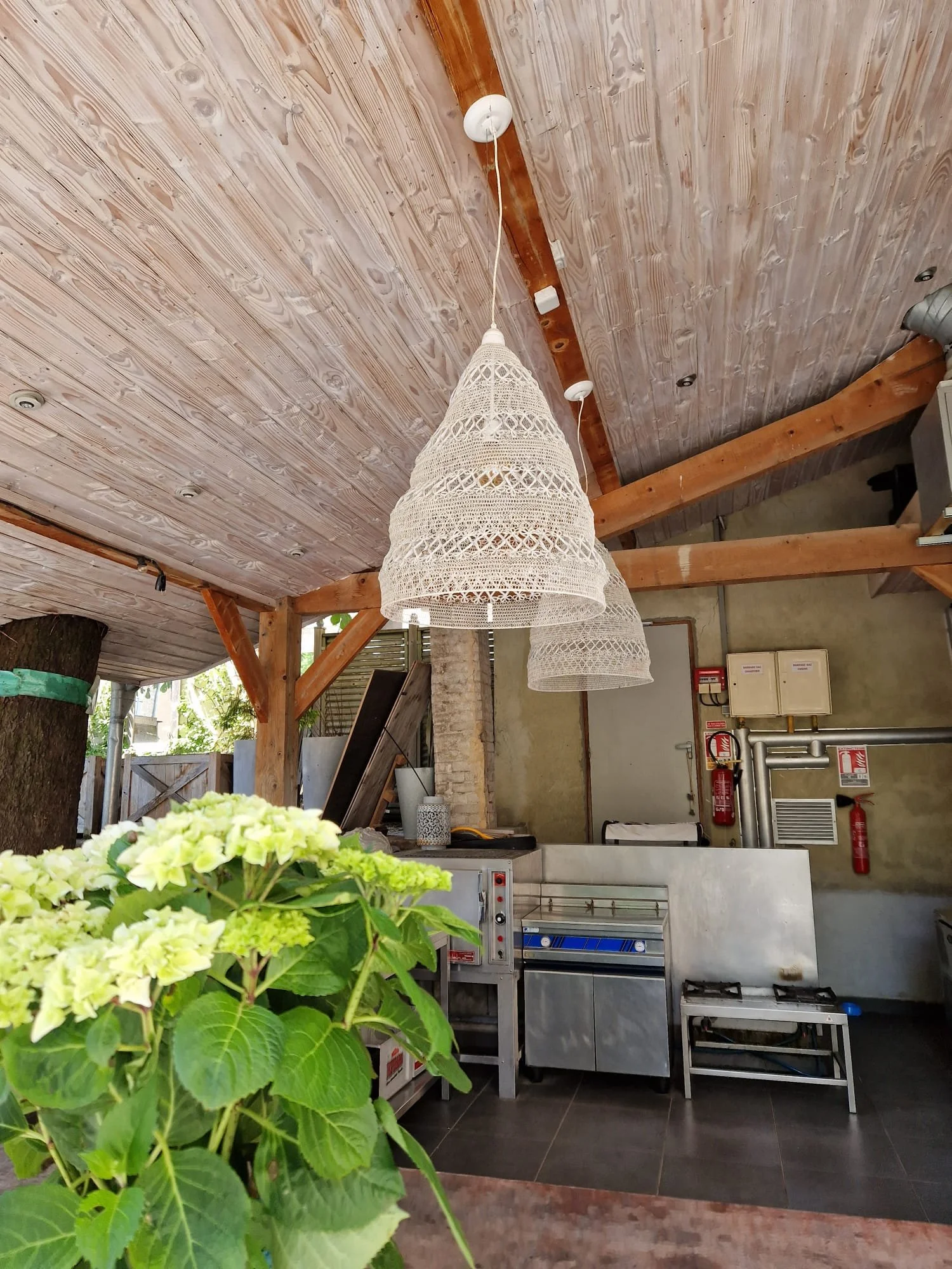 A_WhatsApp Image 2024-05-09 at 10.38.37.jpeg