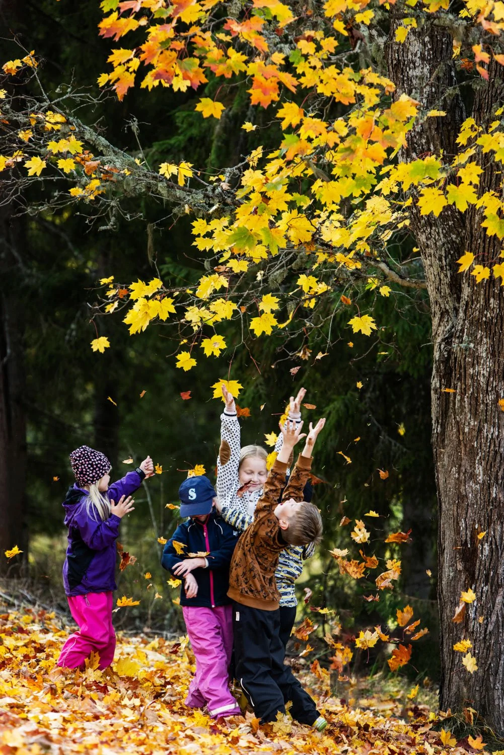Lapset hyppivät lehtikasassa