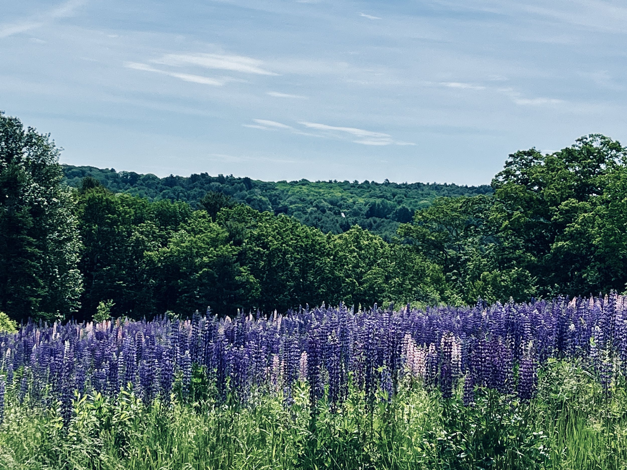 Experiencing Rockland Maine