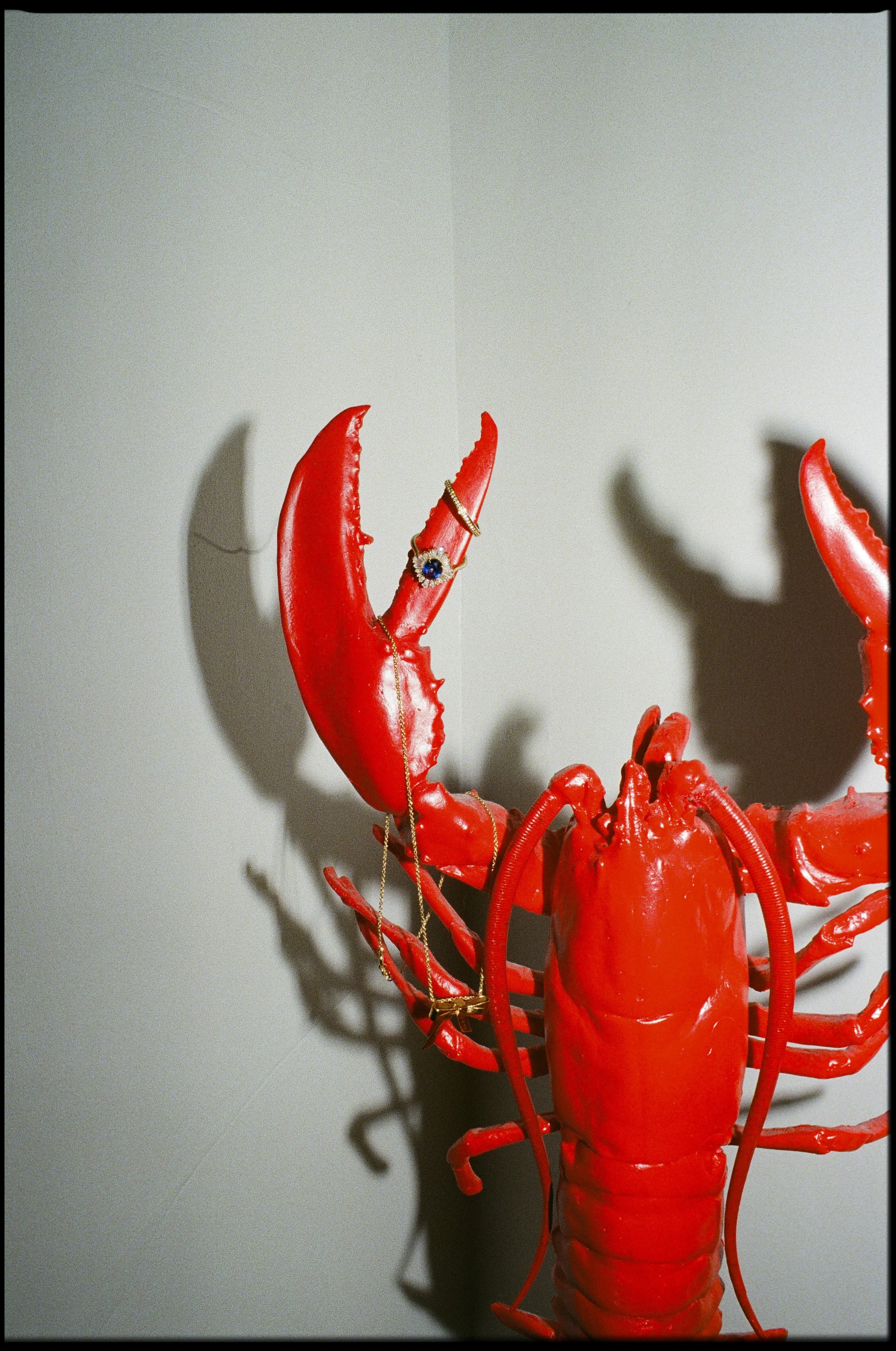 Lobster wearing jewellery on 35mm film