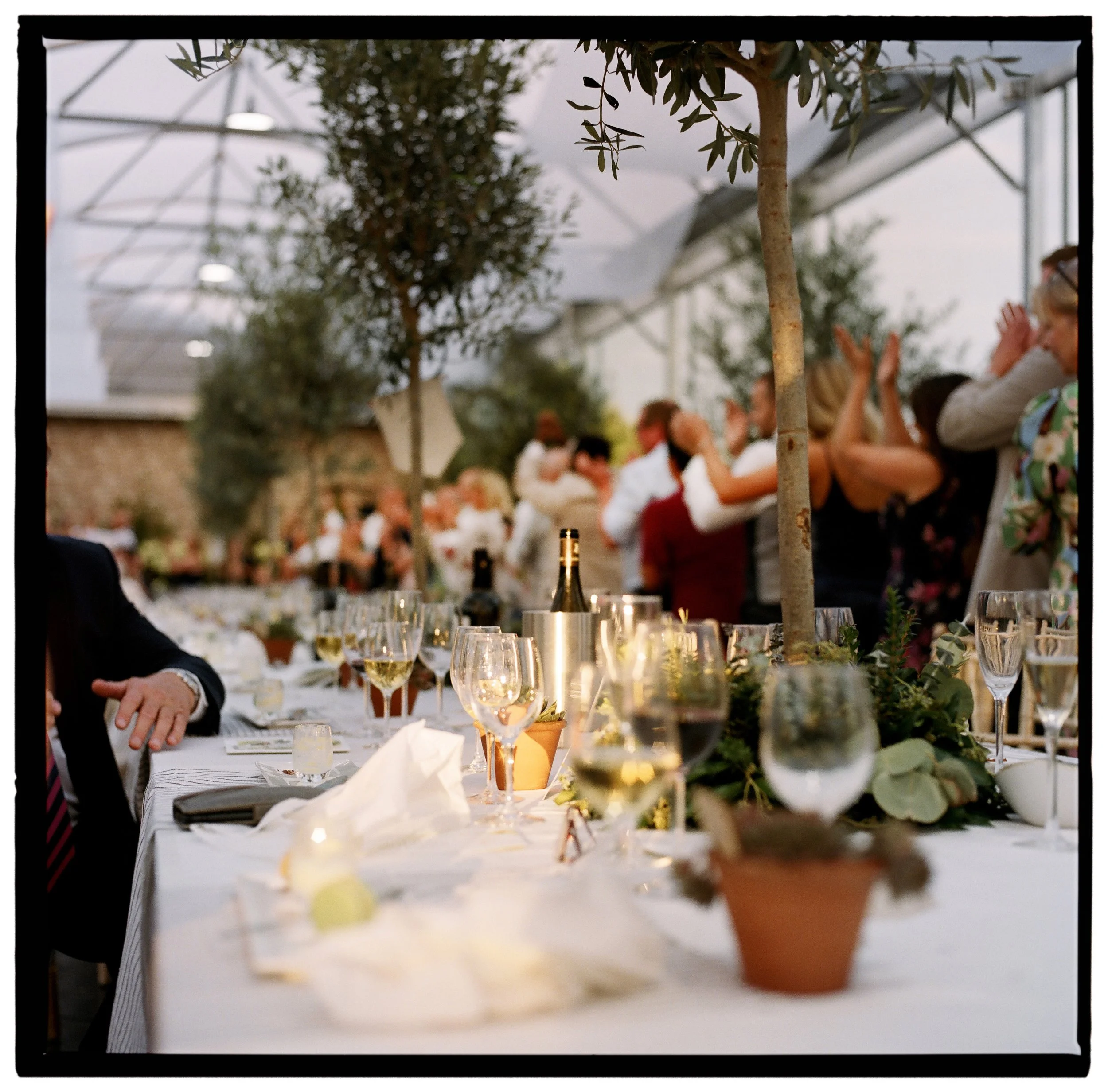 wedding breakfast table in a polly tunnel botanical garden shot on medium format film