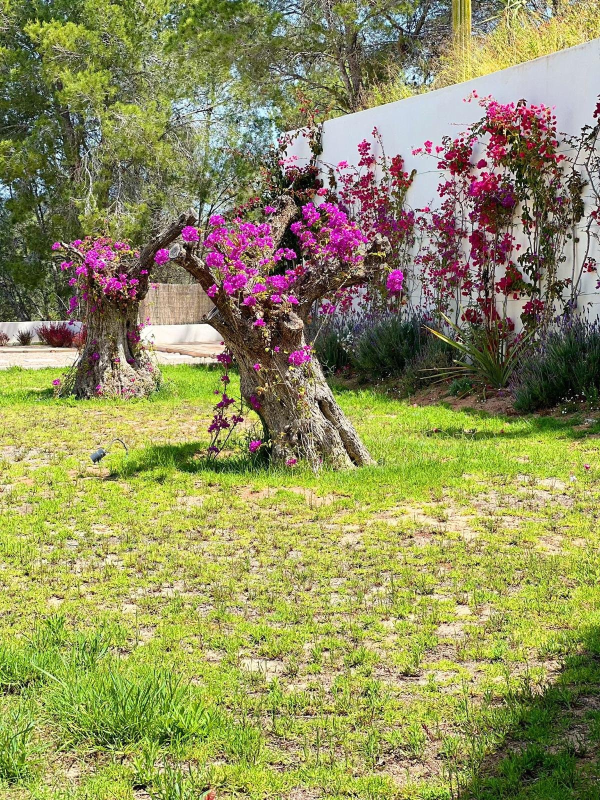 WhatsApp Image 2025-11-10 at 13.18.01 (1).jpg