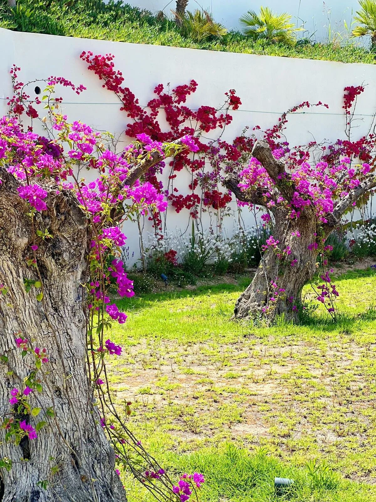 WhatsApp Image 2025-11-10 at 13.18.02 (2).jpg