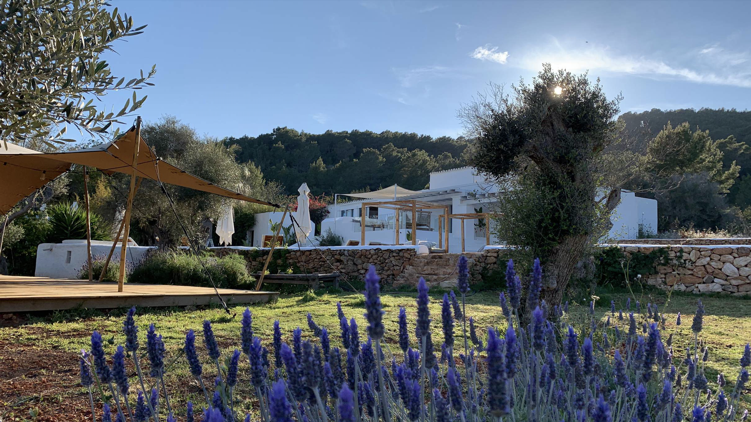 Screenshot 2025-11-19 at 13.00.19.png