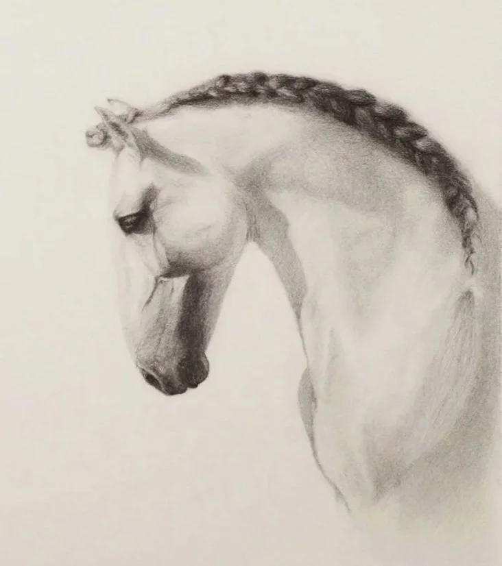 Plaited Horse (Charcoal) 11 x 14 inches
