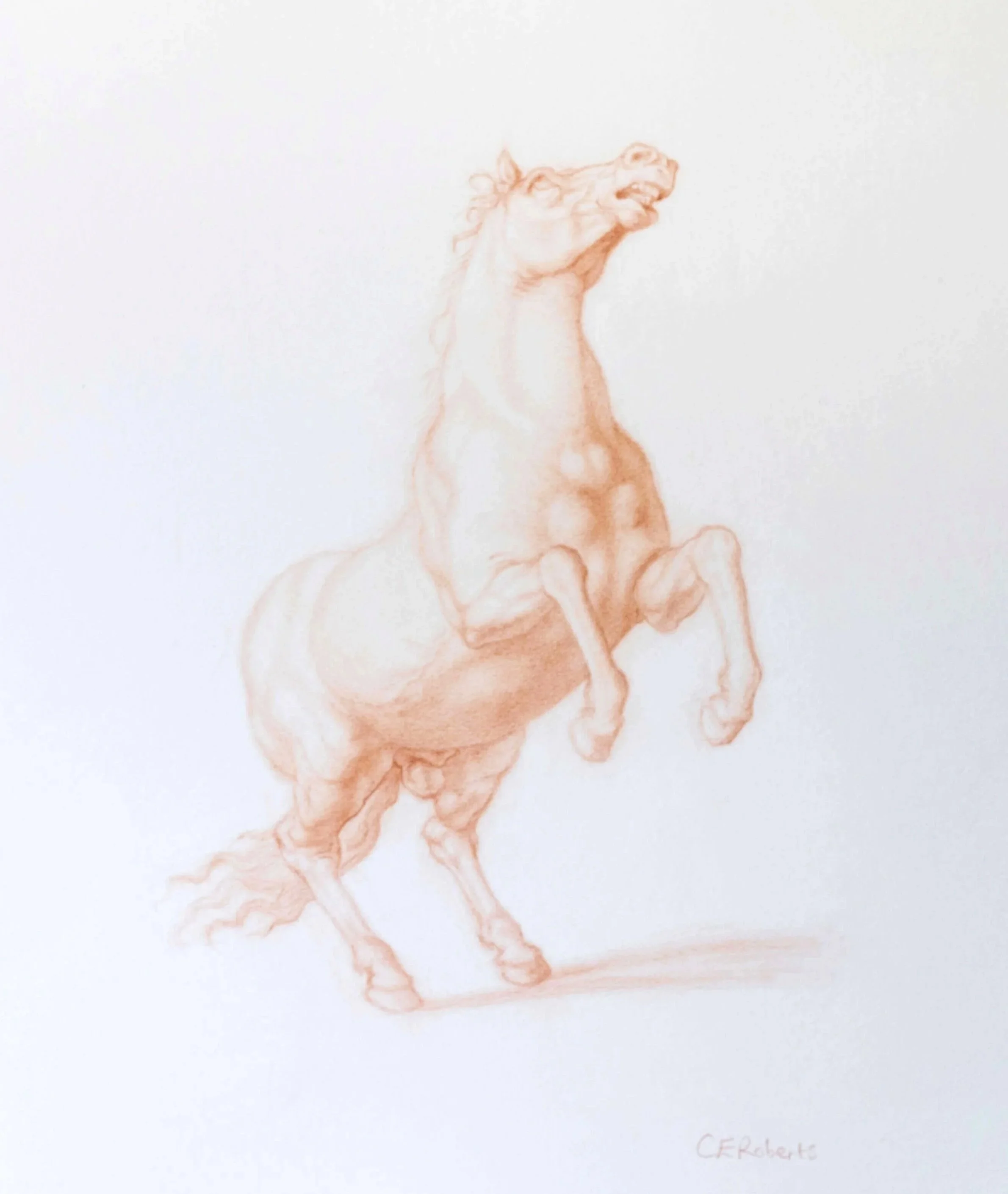 Rearing Stallion - After Bronzino (Sanguine) 11 x 14 inches