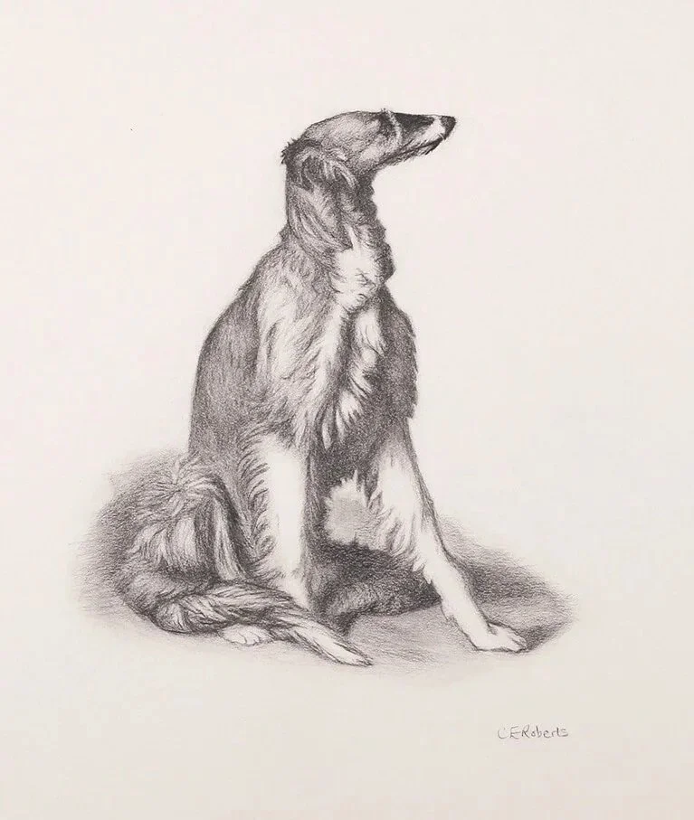 Borzoi - After Bargue (Charcoal) 11 x 14 inches