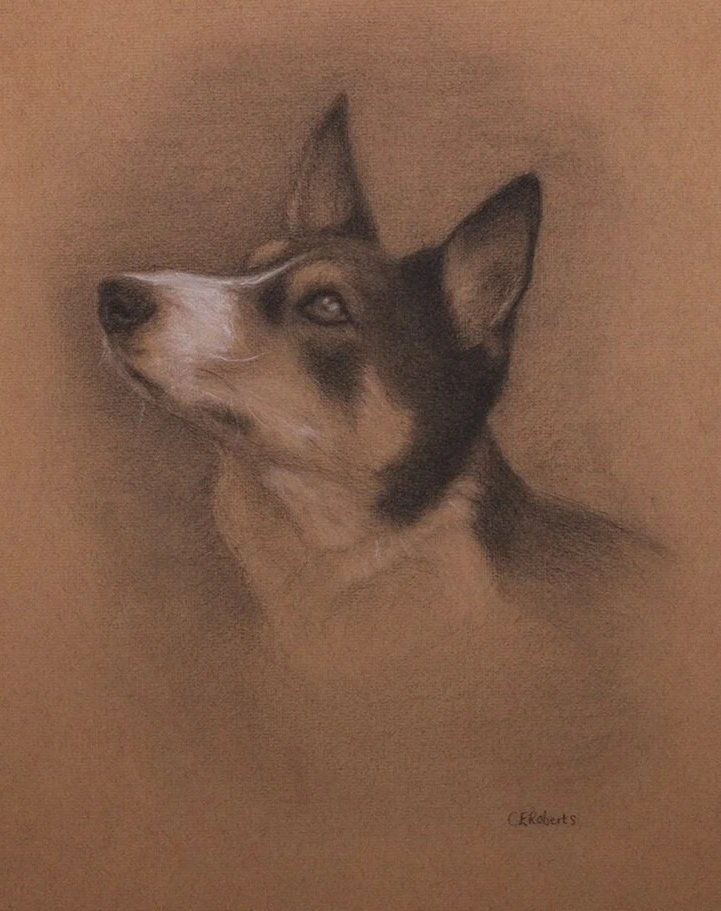 Border Collie (Charcoal & Chalk) 11 x 14 inches