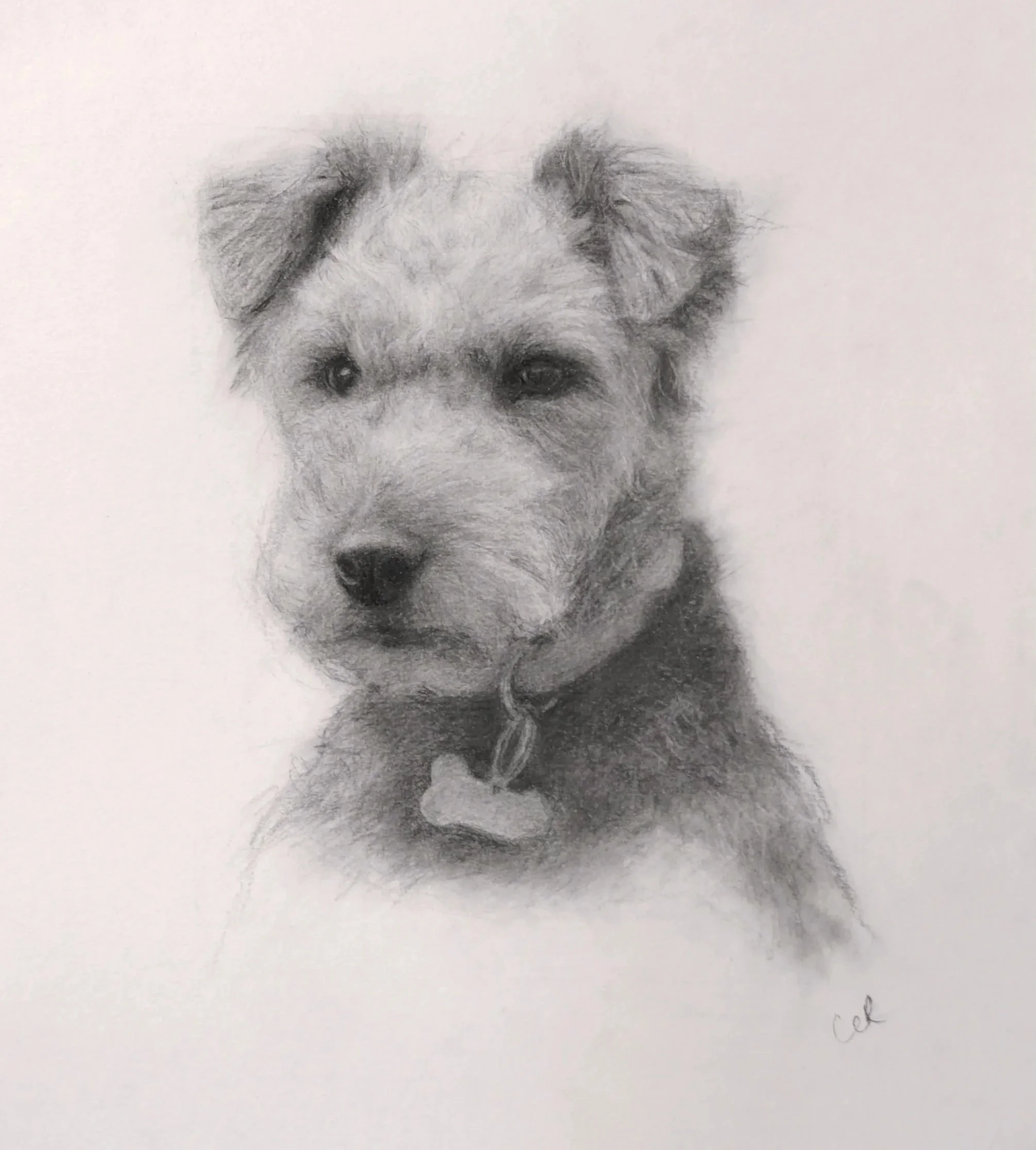 Welsh Terrier (Charcoal) 9 x 12 inches
