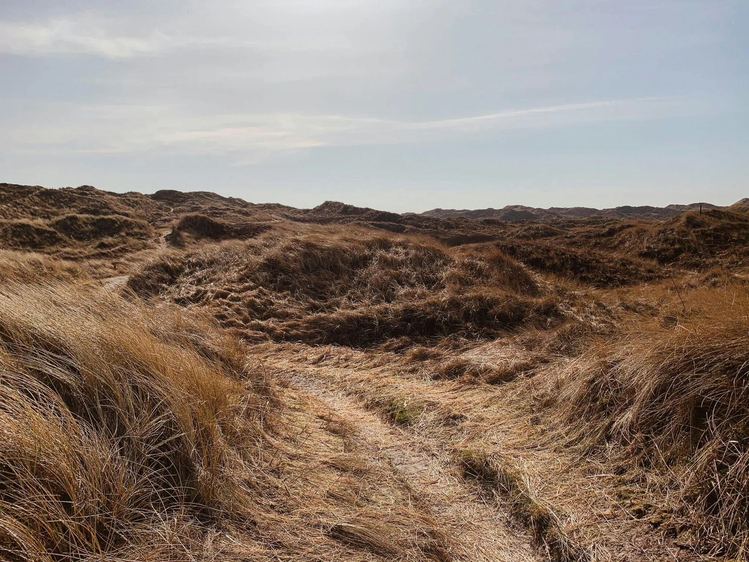 Policy Expert Panel: Tests i lille skala vil forbedre kvaliteten af politiske reformer