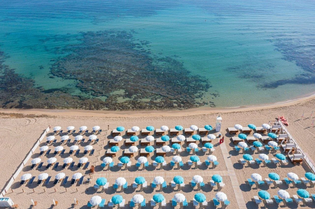 palme beach spiaggia.jpg