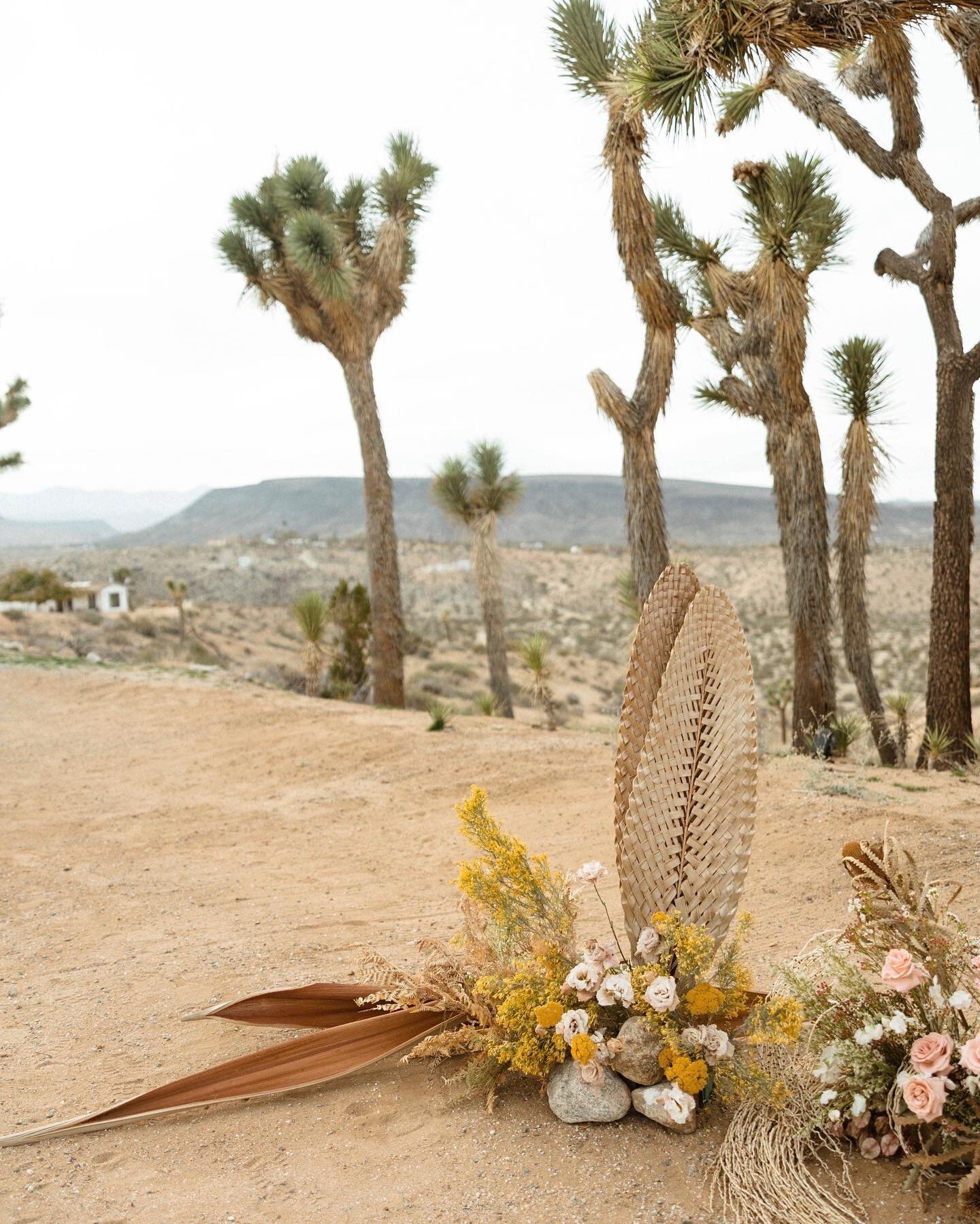 There&rsquo;s something about a wedding in the desert that just hits right! #desertloving #wedding 🏜️