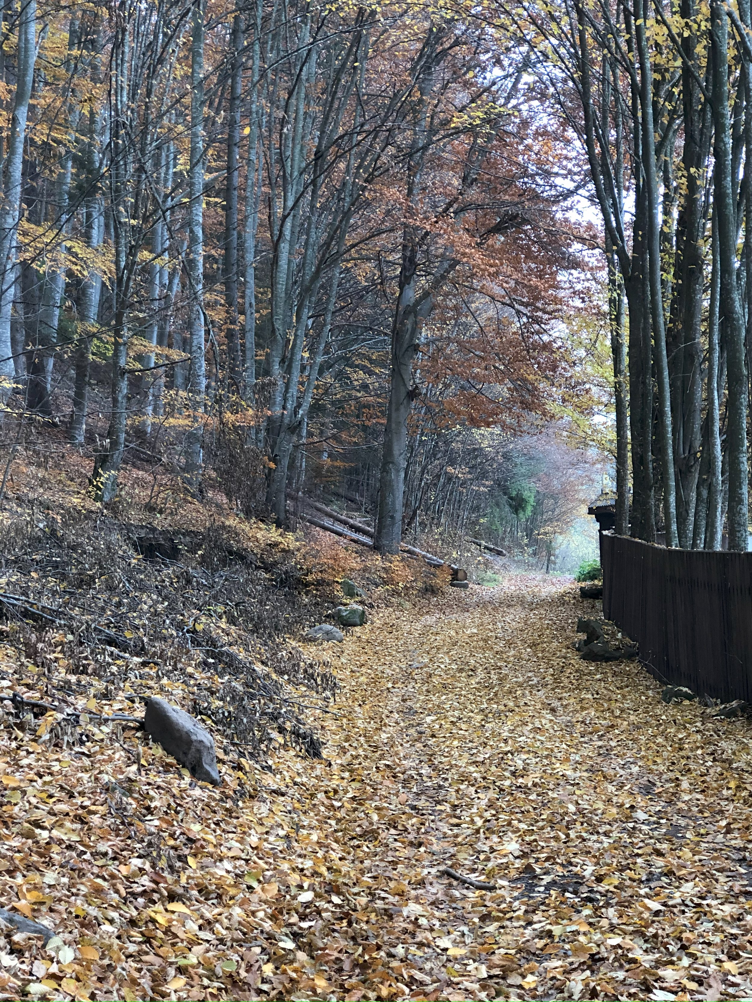 My Romanian All-Time Favorite Places for my Family Trips