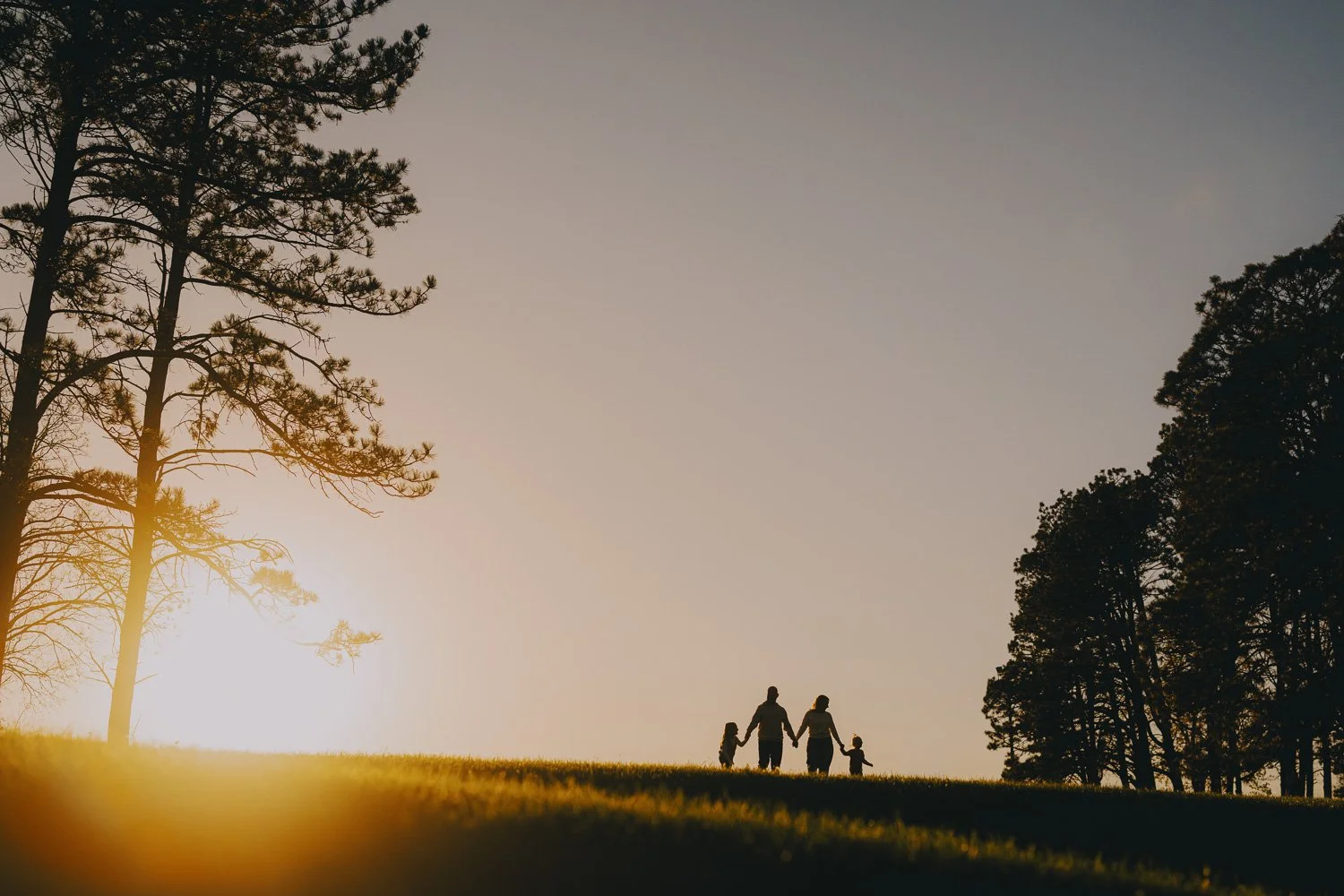 Relaxed family photography in a park