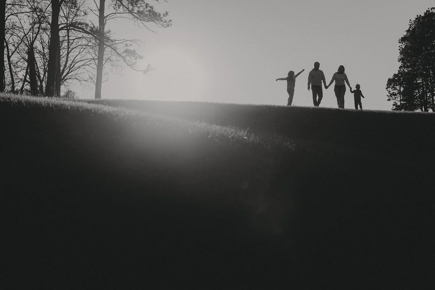 Silhouette of a family walking hand in hand on a hill at sunset, with trees in the background.