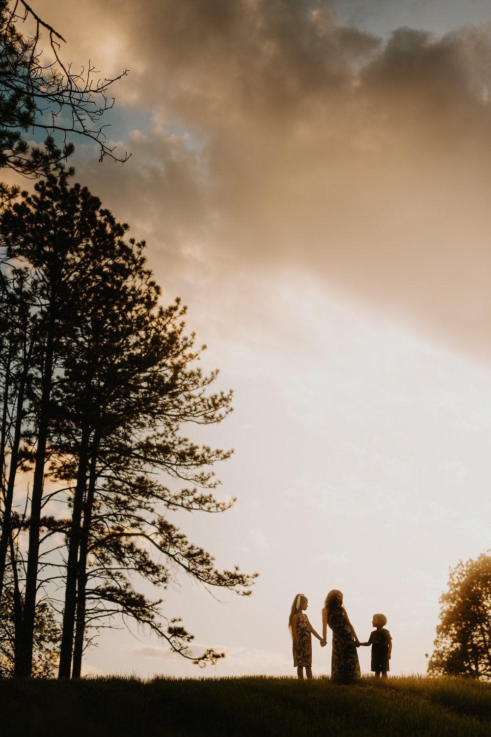 silhouette of a young family at Pioneers Park in Lincoln Nebraska