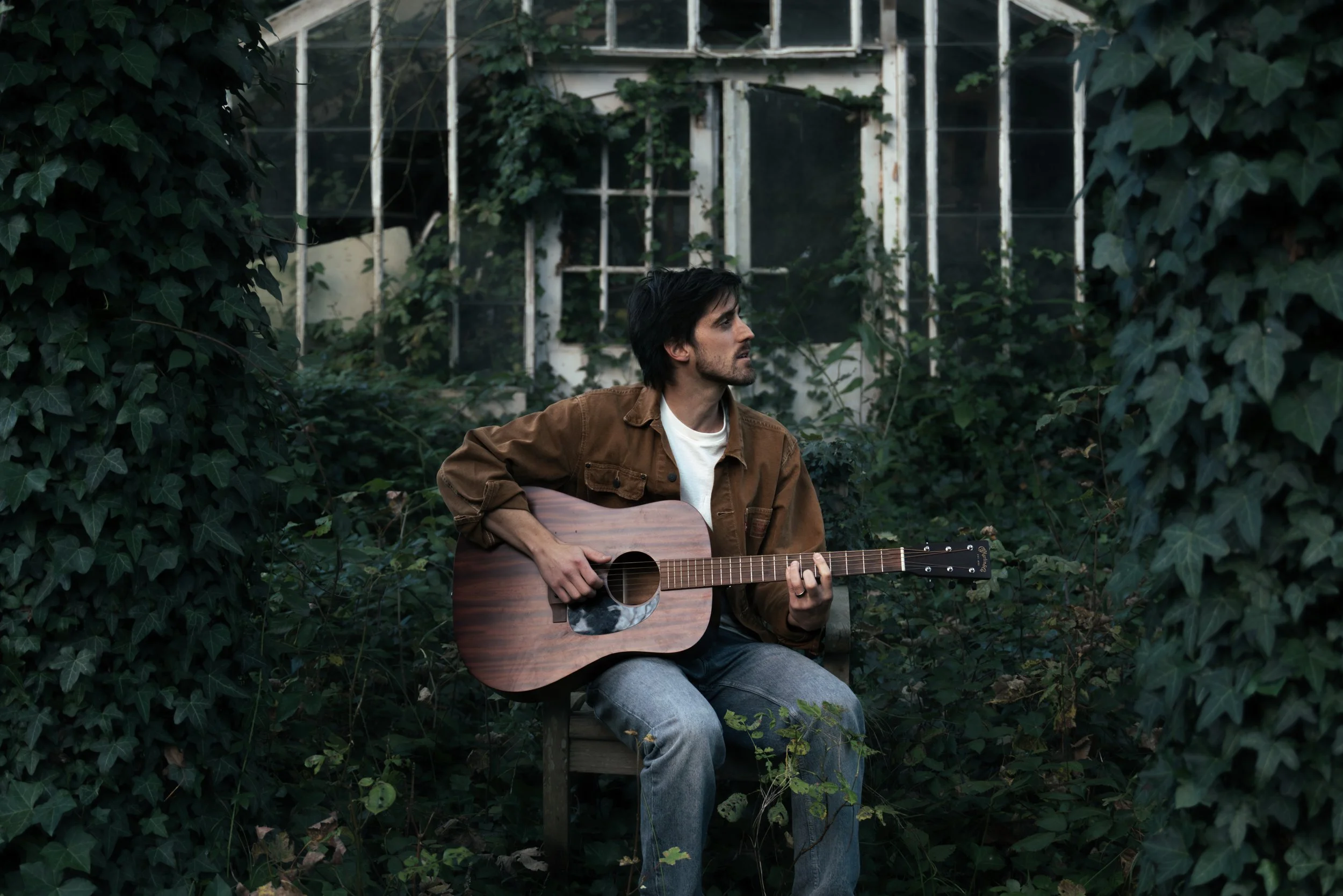 Rock/Review fig trees - Hotel Pomeroke