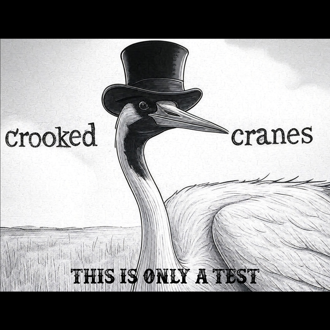 Rock/Review Crooked Cranes - This is Only a Test