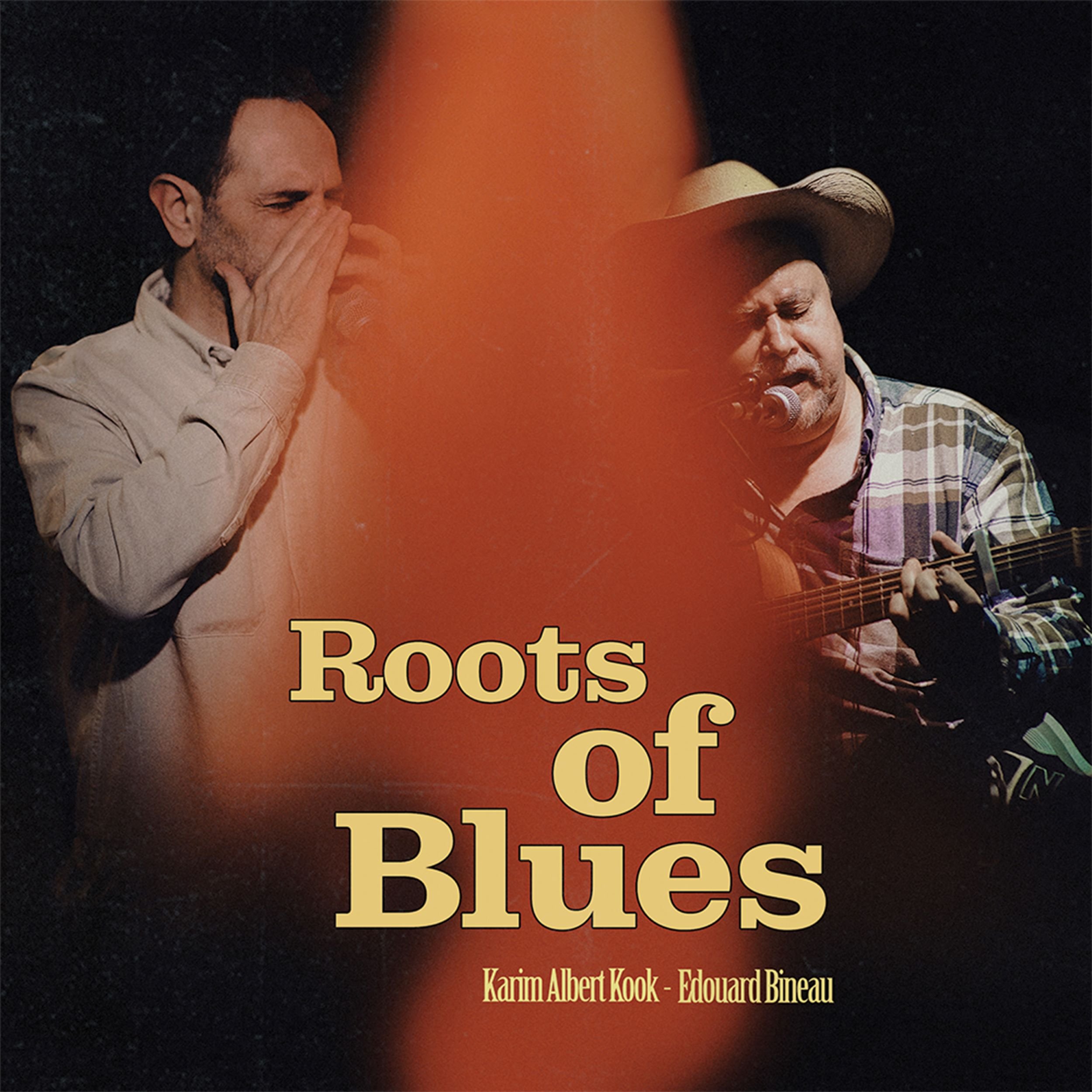 Blues/Review Karim Albert Kook, Édouard Bineau - Roots of Blues