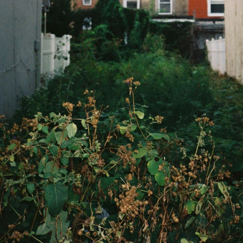 Rock/Review Soft Collapse - Sleepweight