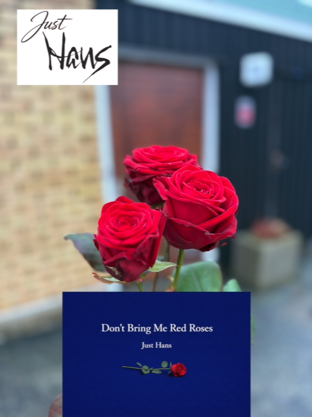 Pop/Review Just Hans - Don’t Bring Me Red Roses