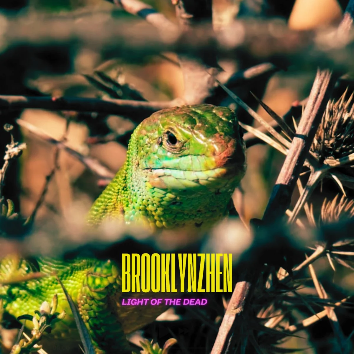 Electronic/Review Brooklynzhen - Light of the Dead