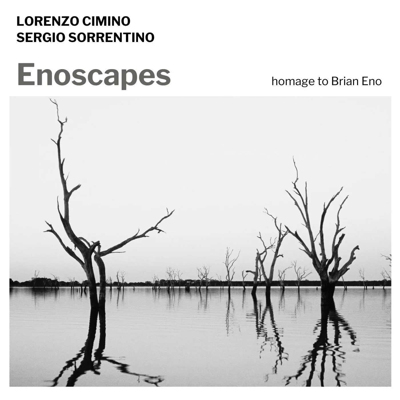 Classical/Review Lorenzo Cimino &amp; Sergio Sorrentino - Enoscapes