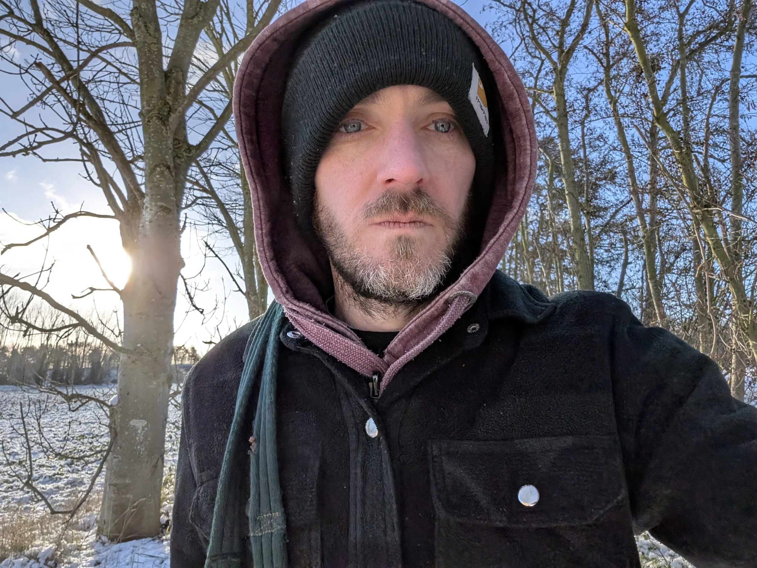 Electronic/Review Consequential - I'm Alive