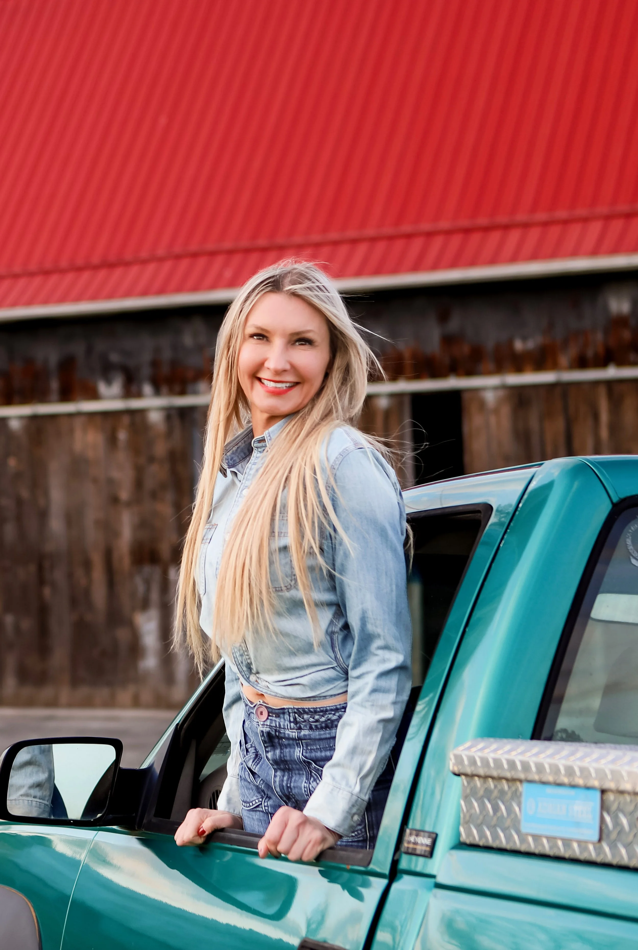 Country/Review Rebekah Snyder - Someday Lullaby
