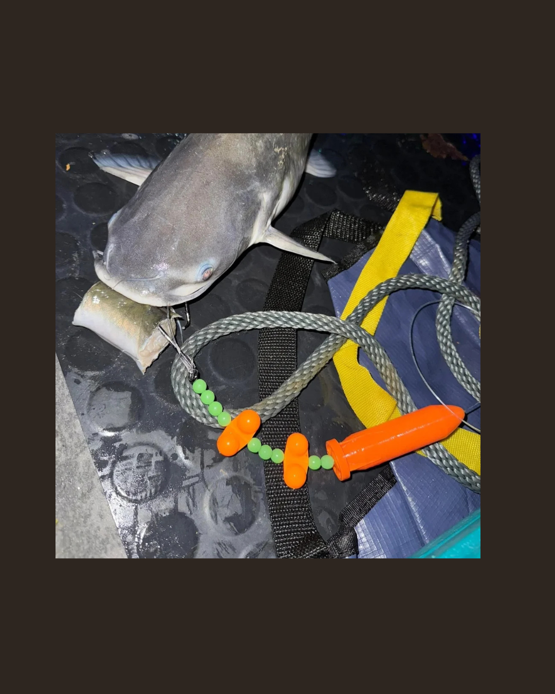 Untitled design (39).png