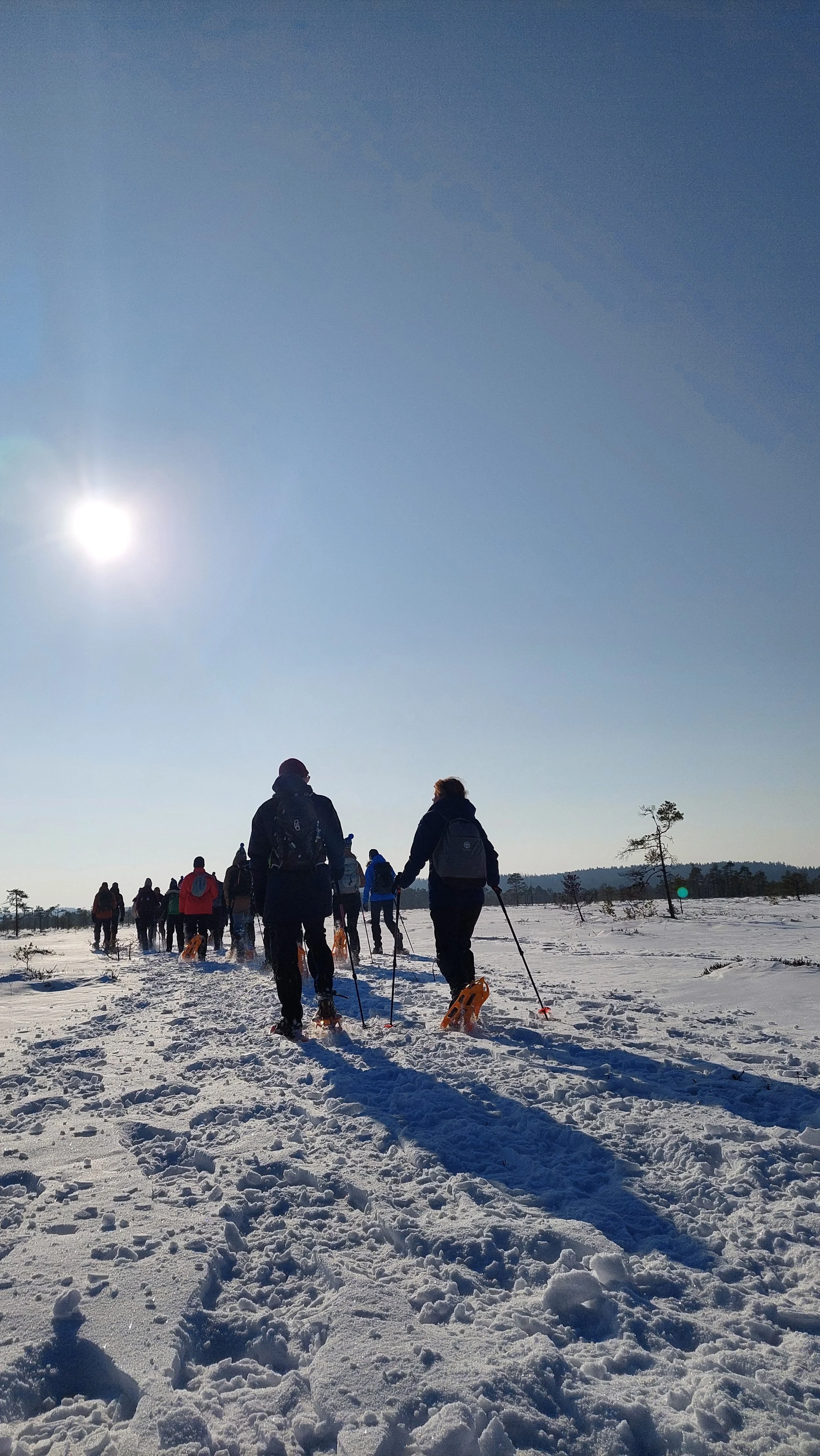Gruppe med snesko og vandrestave vandrer på estisk frossen vådområde dækket af sne og med høj sol og blå himmel. Guidet tour arrangeret af Groossartig