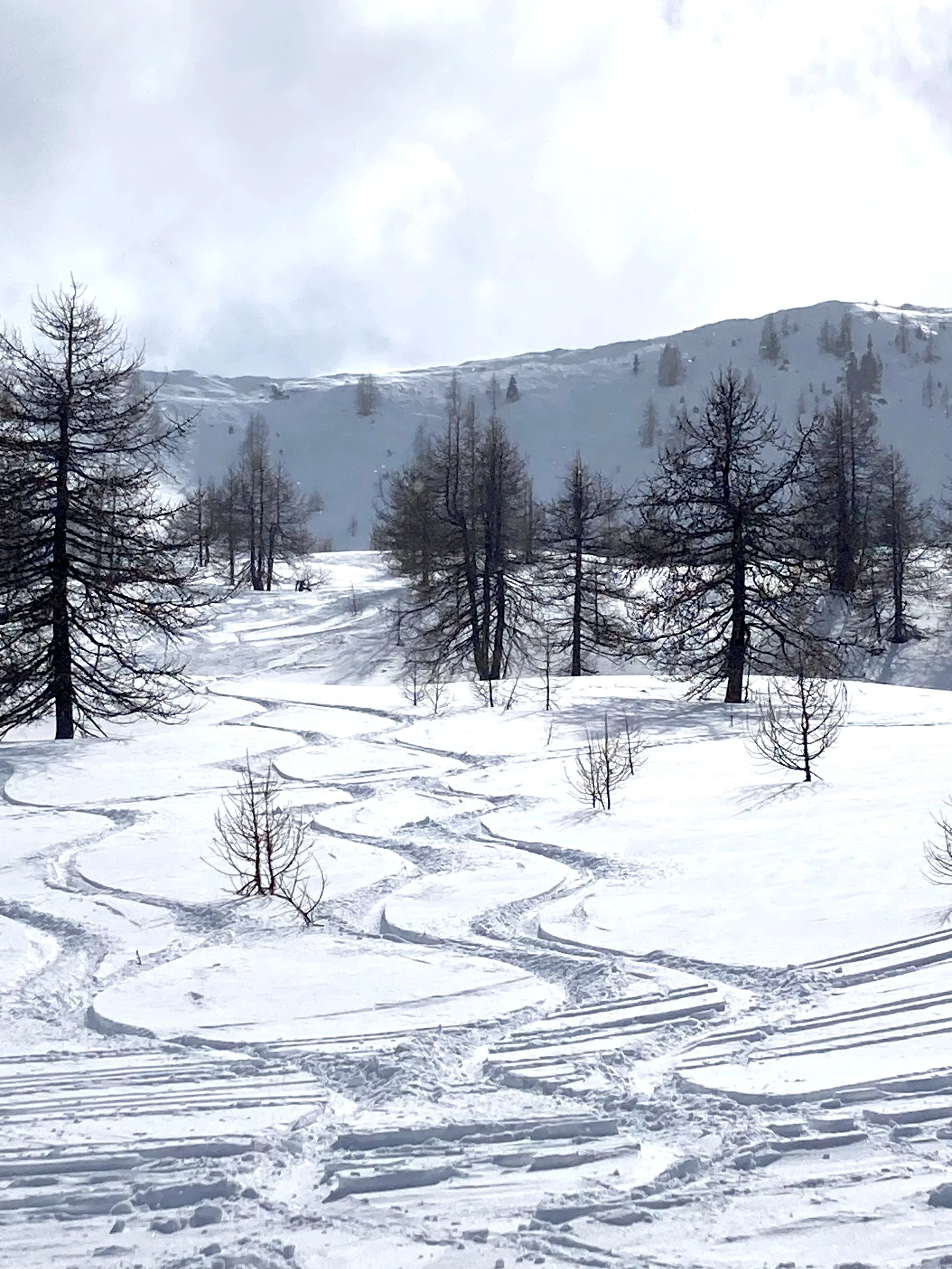 Spor i sneen fra ski off piste