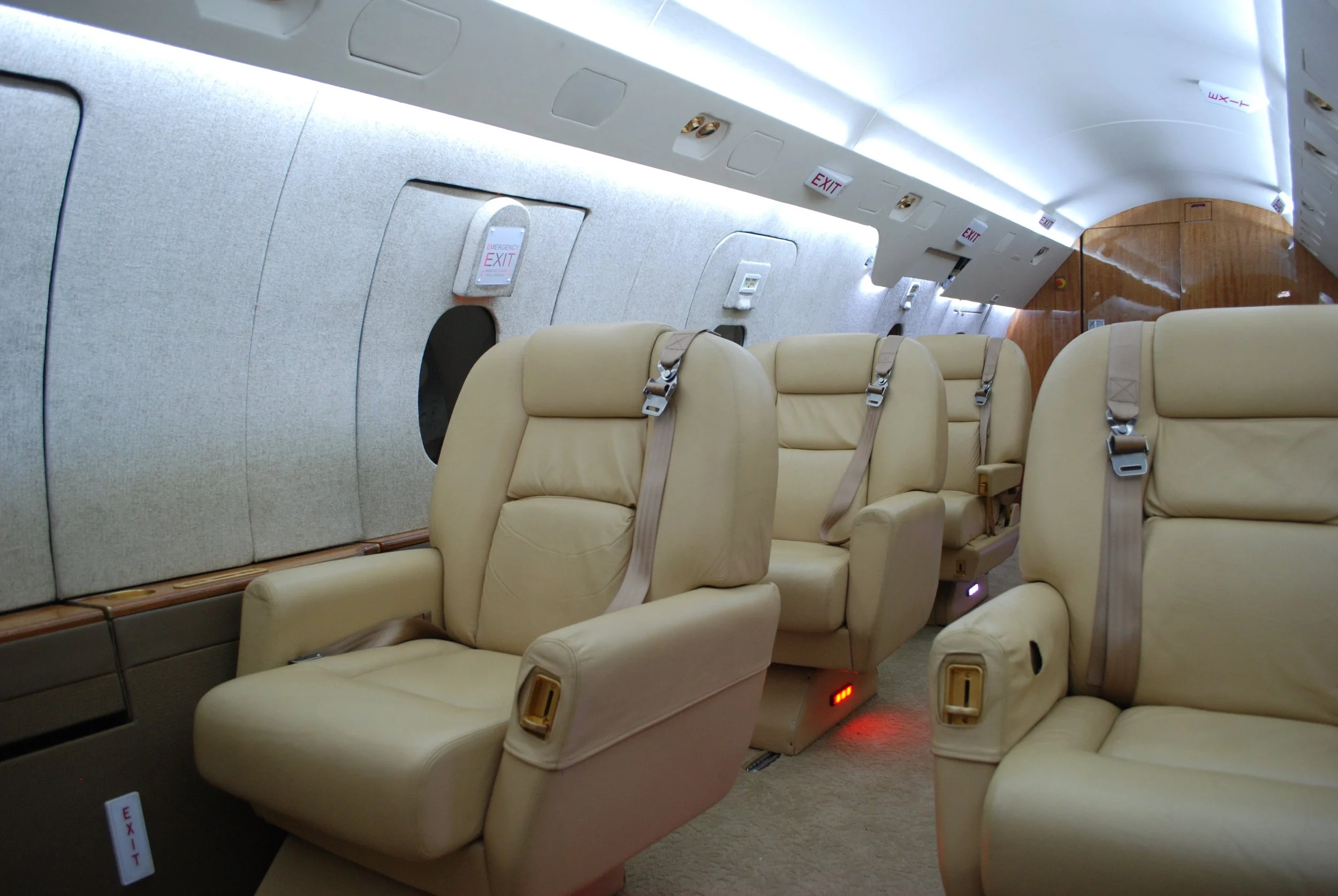 cabin service trainer