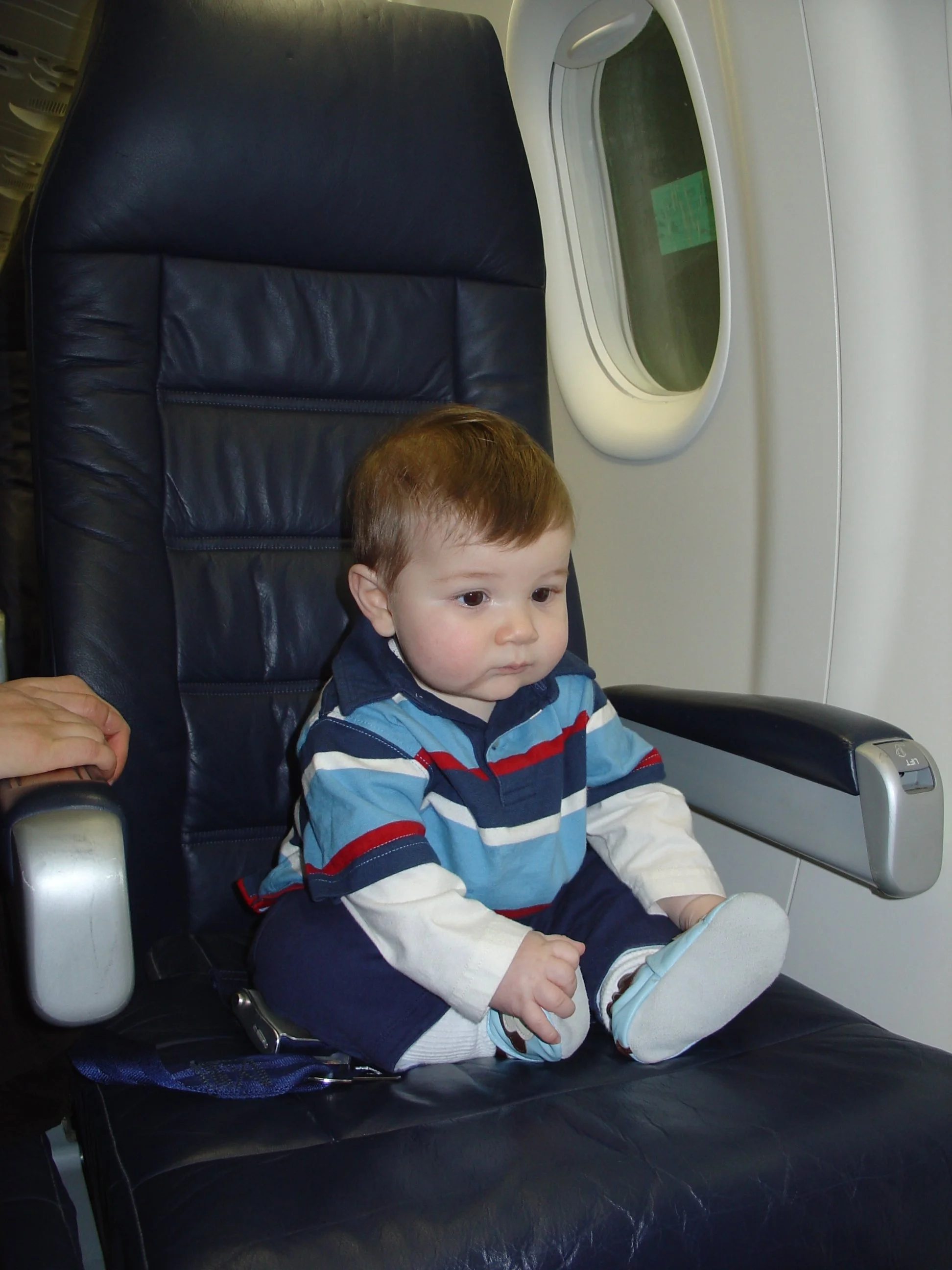 cabin service trainer