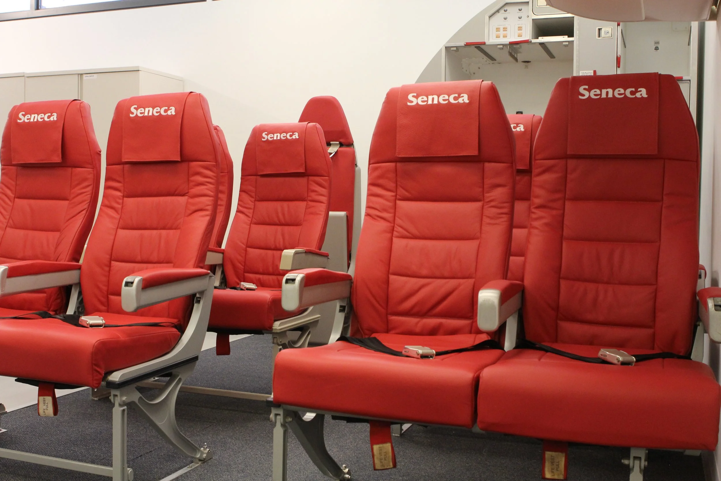 cabin service trainer