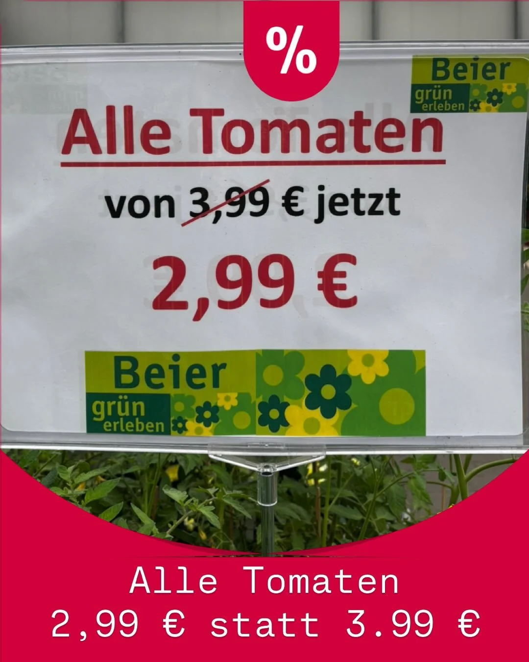 Frische Angebote und Highlights f&uuml;r Garten, Balkon &amp; Terrasse!☀️🌸

Die Gartensaison ist in vollem Gange und wir haben wieder tolle Angebote und Highlights f&uuml;r euch. Ob bl&uuml;hende Balkonpflanzen, aromatische Tomaten oder langlebige G
