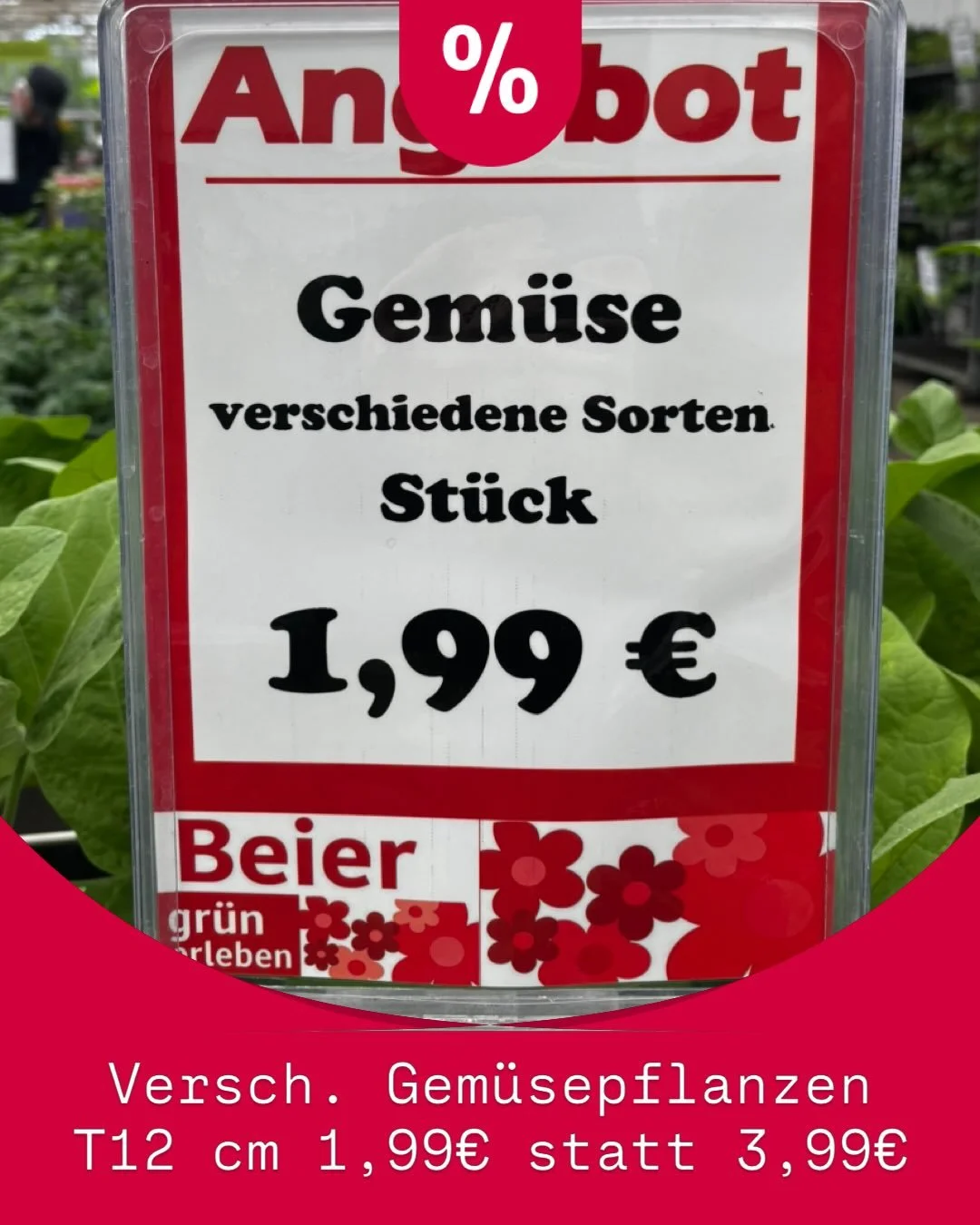 Jetzt lohnt sich der Besuch besonders: Viele Pflanzen gibt es aktuell zu attraktiven Angebotspreisen &ndash; perfekt, um Garten, Hochbeet oder Balkon noch einmal aufzufrischen!

⭐ Besonders beliebt: Unsere Gem&uuml;sepflanzen (versch. Sorten, T12 cm)
