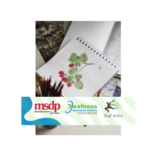 Illustration Art Workshop with Merseyside Society for Deaf People