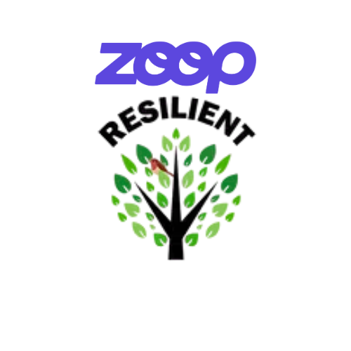 Resilient NW Workshop