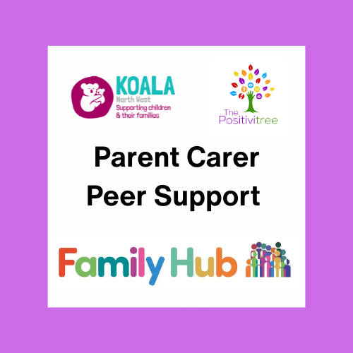 Parent Carer Peer Support Group