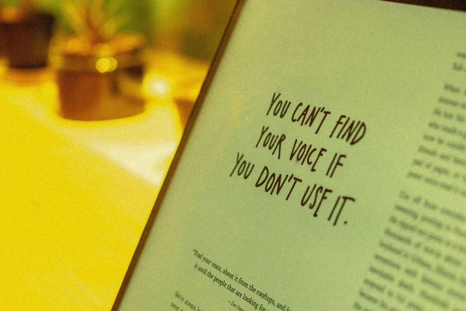 Big Opportunity: Lead Wirral’s Young Persons Forum!