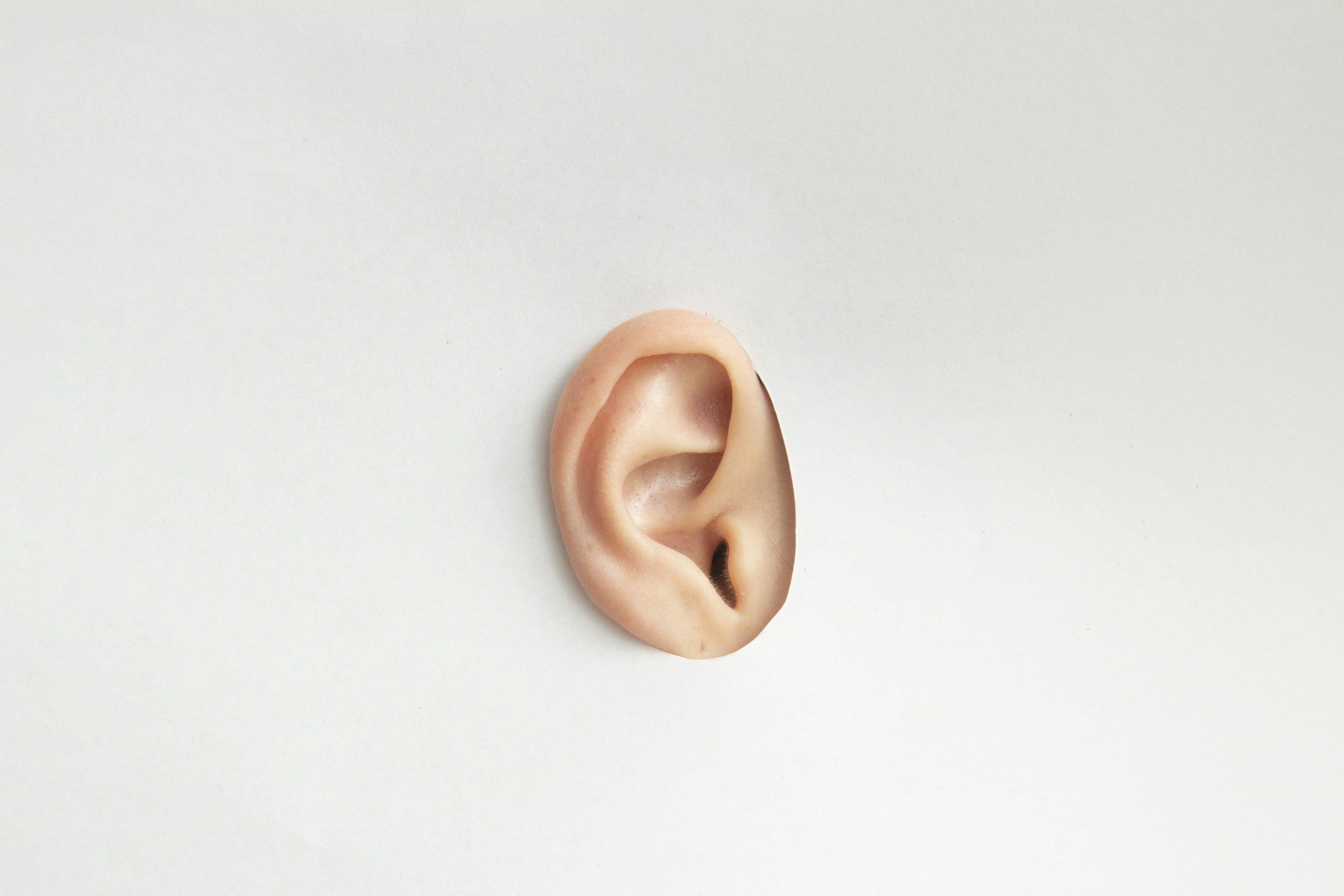 ear, hearing